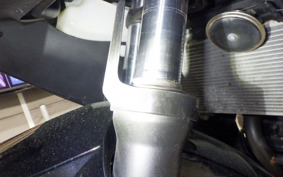 KAWASAKI NINJA 250 EX250L