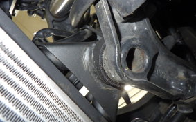 KAWASAKI NINJA 250 EX250L