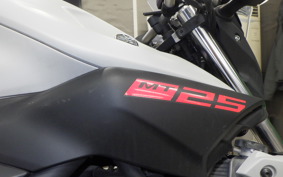 YAMAHA MT-25 2024 RG43J