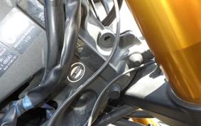 YAMAHA MT-09 ASP 2021 RN52J