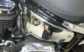 HARLEY FXBR1920 2025