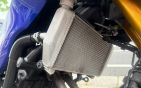 YAMAHA YZF-R25 RG43J