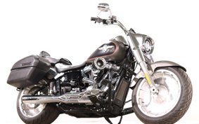 HARLEY FLFBS 2019 YGK