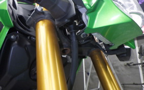 KAWASAKI Z125 PRO 2024 BR125H