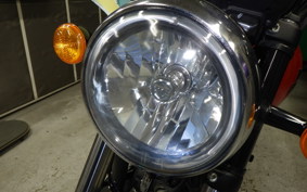 OTHER +ENFIELD ﾒﾃｵ350 2022