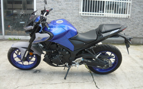 YAMAHA MT-25 ABS RG43J