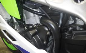 KAWASAKI ZX-4RR 2024 ZX400P