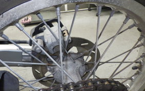 KAWASAKI KLX250 2025 LX250E