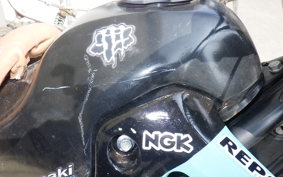KAWASAKI KDX250SR DX250F