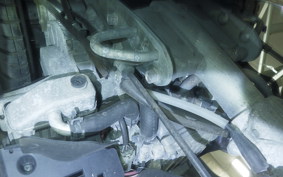 HONDA GYRO X 2026 TD02