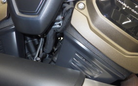 HARLEY RH1250S 2024