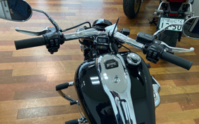 HARLEY FXBR 2023 YEZ