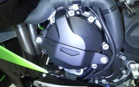 KAWASAKI NINJA ZX-6R A 2025 ZX636J
