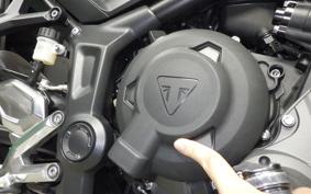 TRIUMPH TRIDENT 660 2024