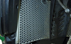 HUSQVARNA NORDEN901 2022