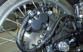 KAWASAKI W800 2024 EJ800E
