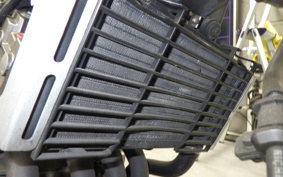 HONDA HORNET 250 2024 MC31