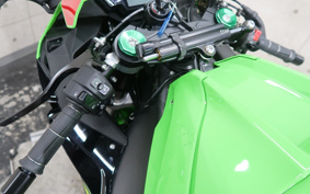 KAWASAKI NINJA ZX-10R ABS 2019 ZXT02E