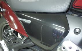 BMW R12 2024