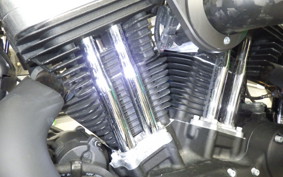 HARLEY XL1200X 2019
