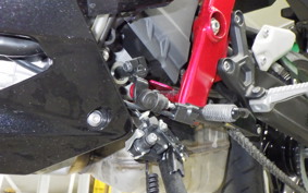 KAWASAKI ZX-25R 1999 ZX250E