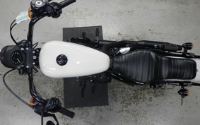 HARLEY XL1200NS 2018