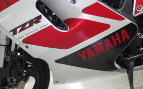 YAMAHA TZR250 R 2023 3XV