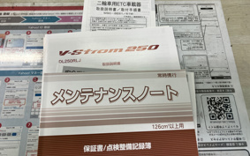 SUZUKI STROM 250ABS DS12E