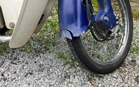 HONDA SUPER CUB50 C50