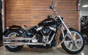 HARLEY FXST1340-1450 2023 BVJ