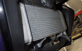 YAMAHA MT-15 2024