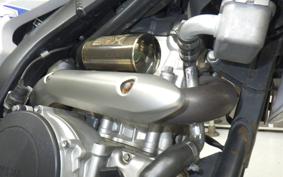 YAMAHA WR250X DG15J