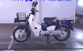 OTHER C110PU LOW 3