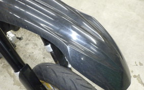 YAMAHA WR250X 2006 DG15J