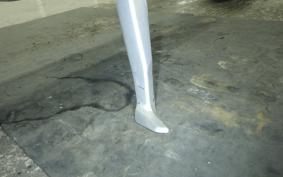 DUCATI 1199 PANIGALE S 2014