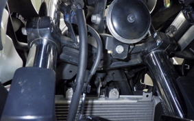 KAWASAKI NINJA 250 2 2004 EX250P