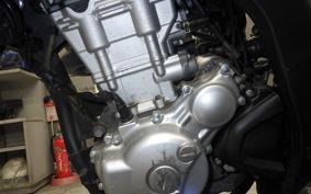 YAMAHA WR250X 2009 DG15J