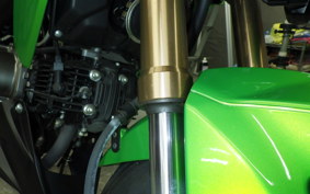 KAWASAKI Z125 PRO 2023 BR125H