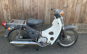 HONDA SUPER CUB50 C50
