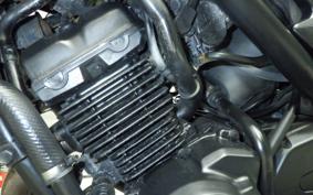 KAWASAKI BALIUS 250 Gen.2 1980 ZR250B