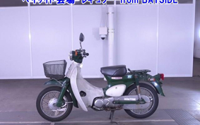 HONDA LITTLE CUB