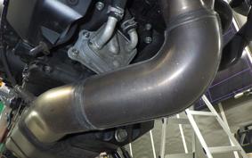 YAMAHA XSR900 GP 2024 RN96J