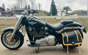 HARLEY  HARLEY FLFB 2018 YFJ