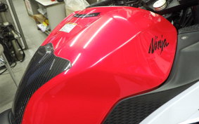 KAWASAKI NINJA 250 ABS EX250L