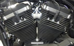 HARLEY XL883N 2019
