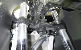SUZUKI GSX-R125 2006 DL33B