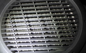 HONDA LEAD 110 2025 JF19