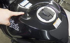 KAWASAKI NINJA ZX-6R A 2019 ZX636G