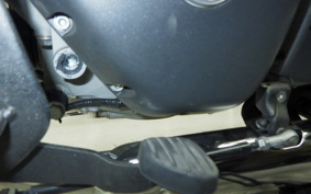 OTHER +ENFIELD SUPER ﾒﾃｵ650 2024