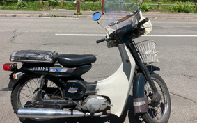 YAMAHA MATEV50DX V50